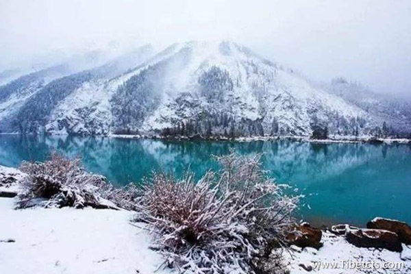 蚌埠到西藏旅游費用