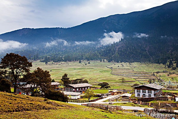 佛山去西藏旅游費(fèi)用