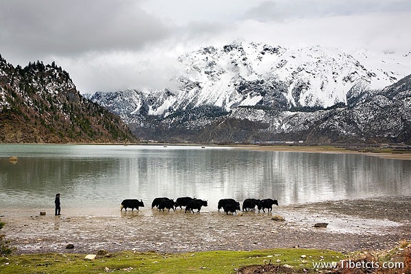 東莞去西藏旅游