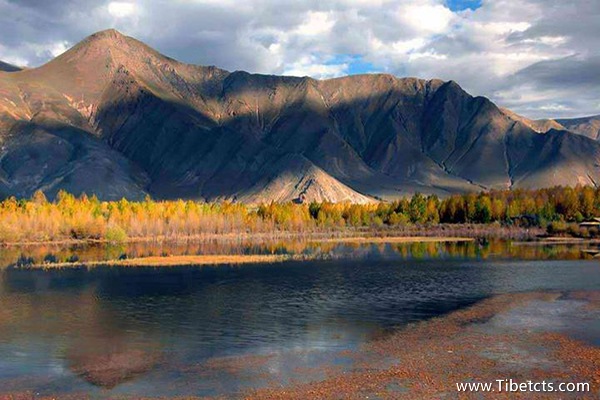 呼和浩特到西藏旅游費用
