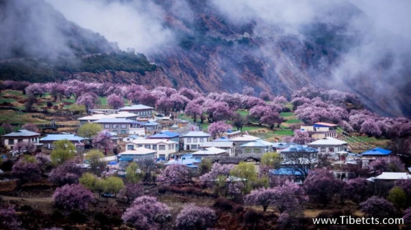 青島到拉薩旅游報價