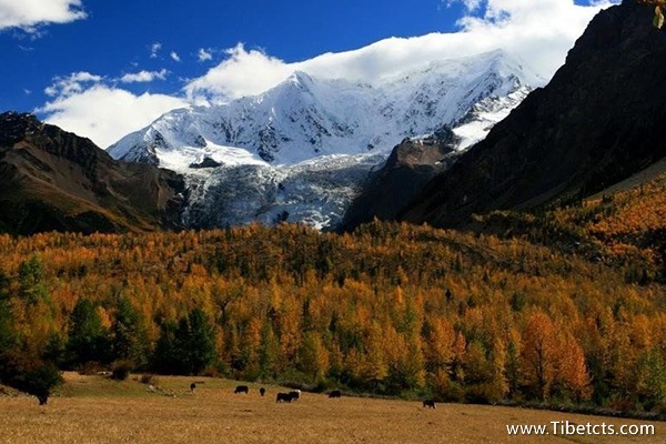 長(zhǎng)沙到拉薩旅游線路