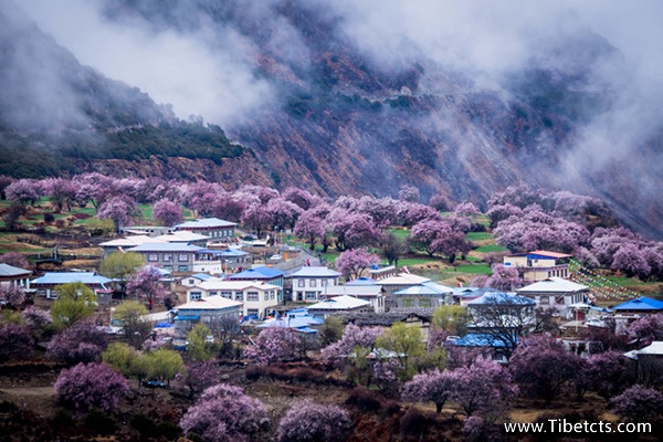 太原到西藏旅游攻略