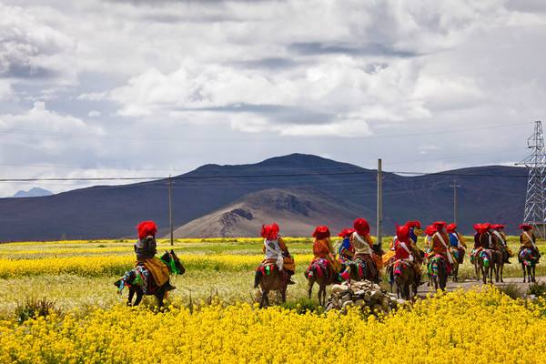 金華到西藏旅游