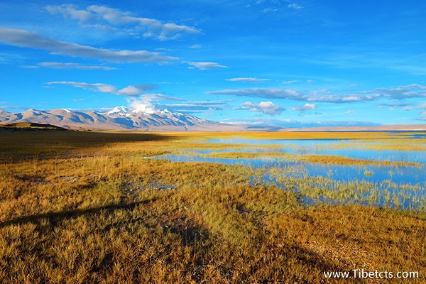 西藏旅游十大景點
