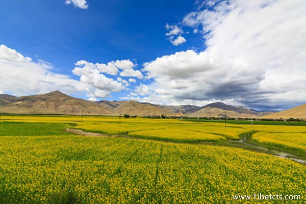 去西藏最好的時節(jié)