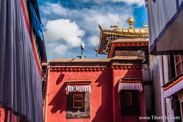 去西藏一趟需要多少錢