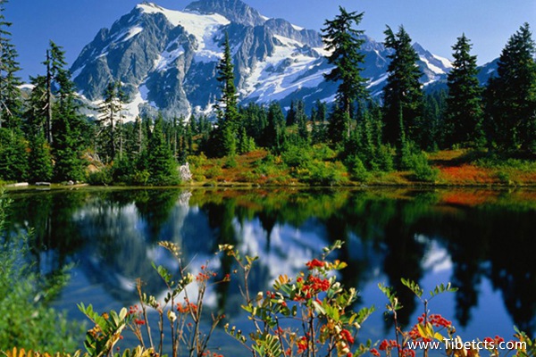 西藏有哪些好玩的景點