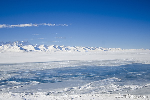 去西藏旅行需要多少錢