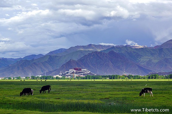 拉薩附近旅游景點大全