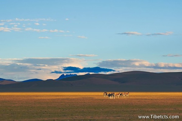 進(jìn)藏旅游有幾條路線