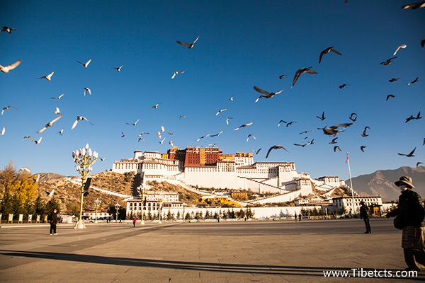 西藏最佳旅游時(shí)間是幾月份