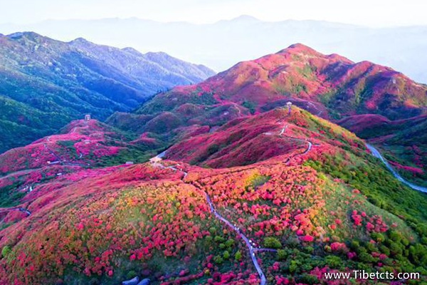 西藏什么地方值得去