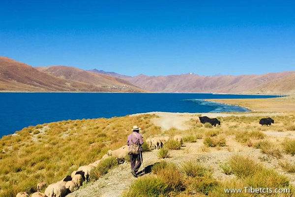 西藏游一個(gè)人多少錢