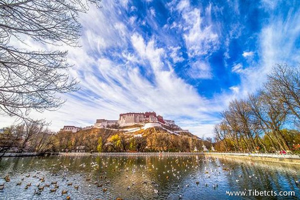 去拉薩大概需要多少錢