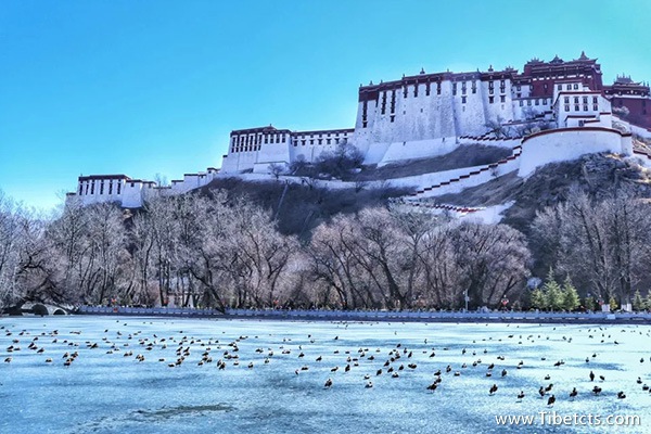 冬天能不能去拉薩