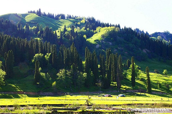 去拉薩旅游準備什么