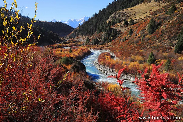 去西藏適合幾月去