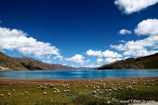 去西藏有哪些路線