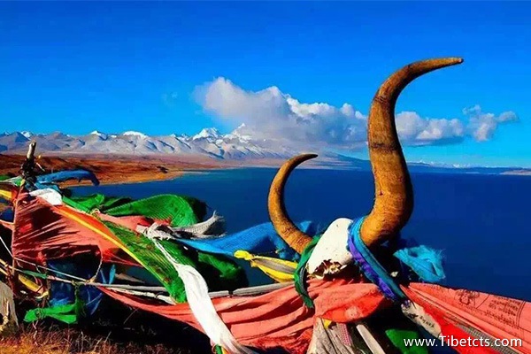 西藏旅游花費多少錢