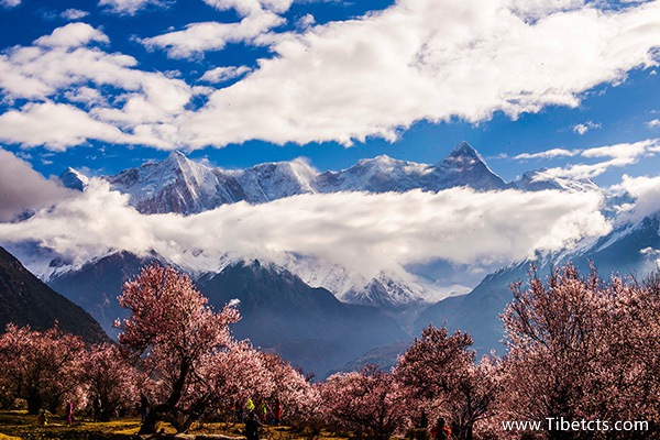 西藏旅游必去景點(diǎn)