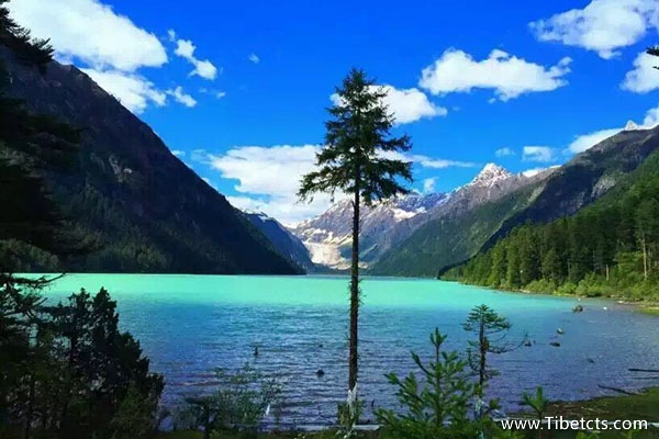 去西藏旅行多錢