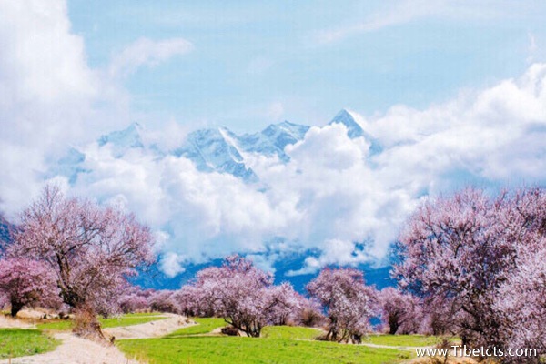 西藏的好玩景點(diǎn)