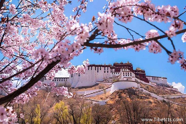 四月去西藏游玩攻略