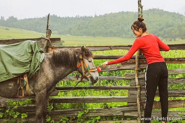 去西藏旅游要多少錢