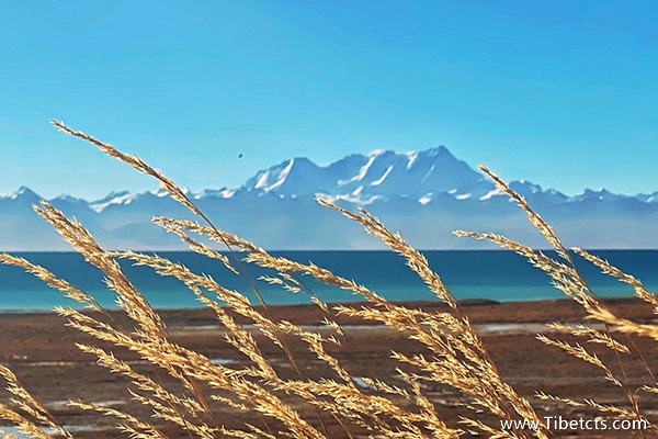 西藏七日游費(fèi)用