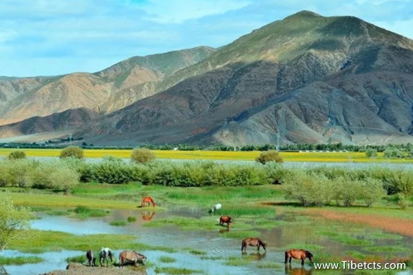 西藏眾信國際旅行社