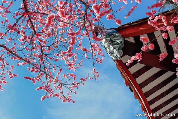 西藏旅游幾月份去最好