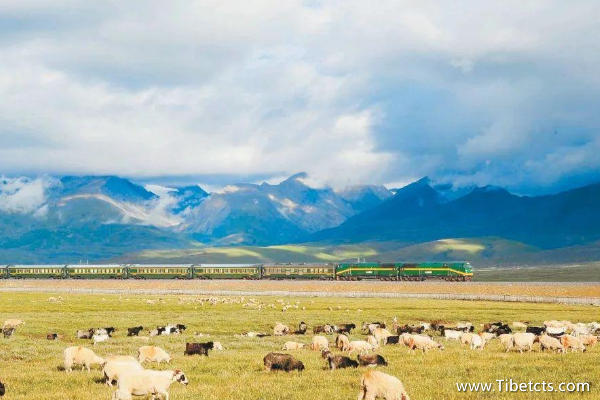 上海去 拉薩火車
