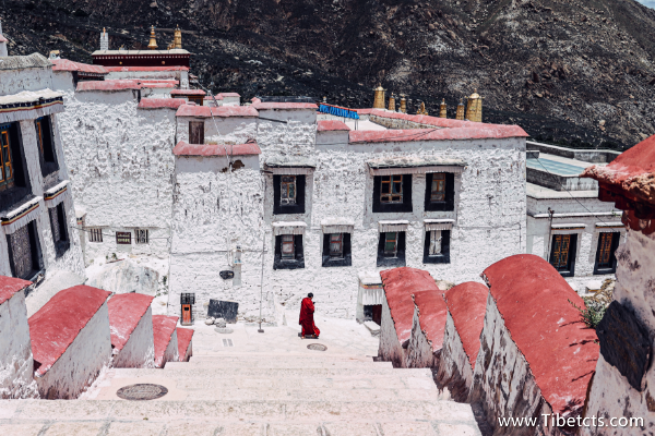 春節(jié)去西藏可行嗎