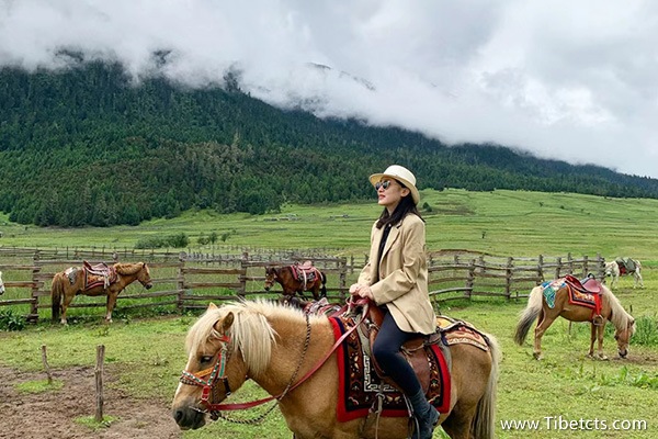 西藏較好的旅行社排名榜