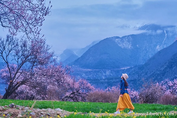 3月份拉薩旅行路線