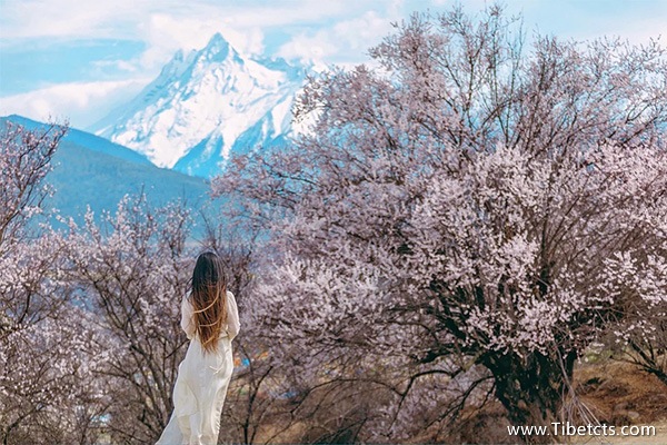 去西藏跟團旅游費用多少