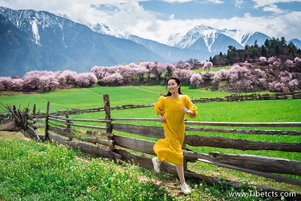 3月拉薩旅游