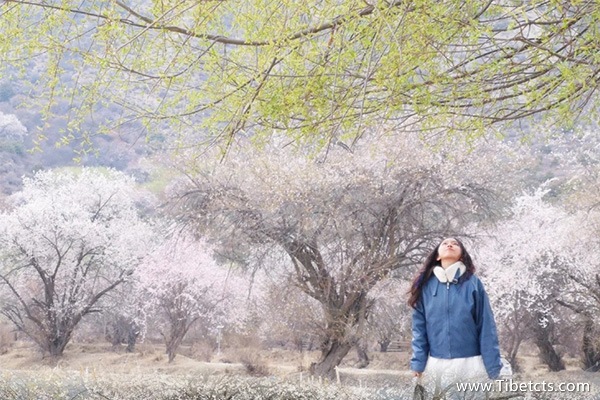 四月份去拉薩好不好玩