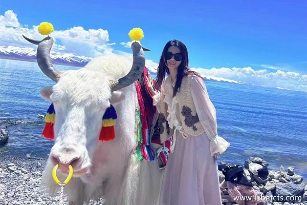 西藏旅游攻略路線最佳路線