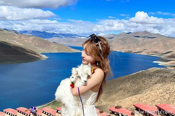 西藏游玩費用多少錢