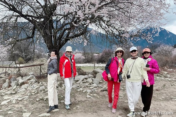 去拉薩旅游跟團(tuán)大概多少費(fèi)用