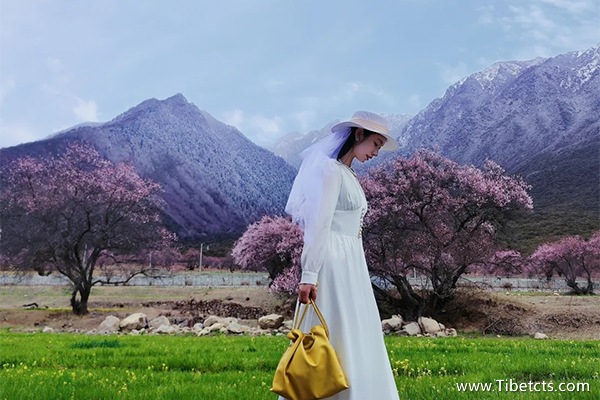 跟團(tuán)去西藏大約多少錢