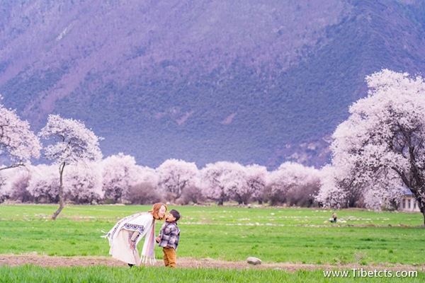 去拉薩旅游跟團(tuán)大概多少費(fèi)用