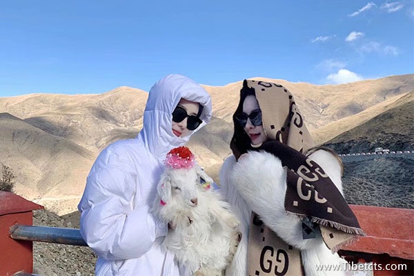 報(bào)團(tuán)去西藏的費(fèi)用是多少